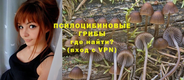 МДМА Алексин