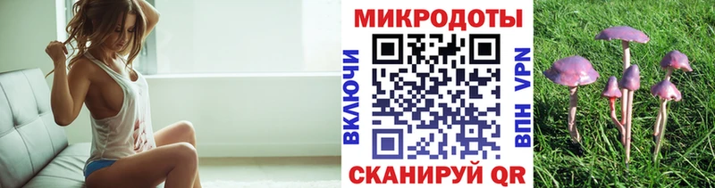 Галлюциногенные грибы мицелий  купить   darknet наркотические препараты  Карачев 